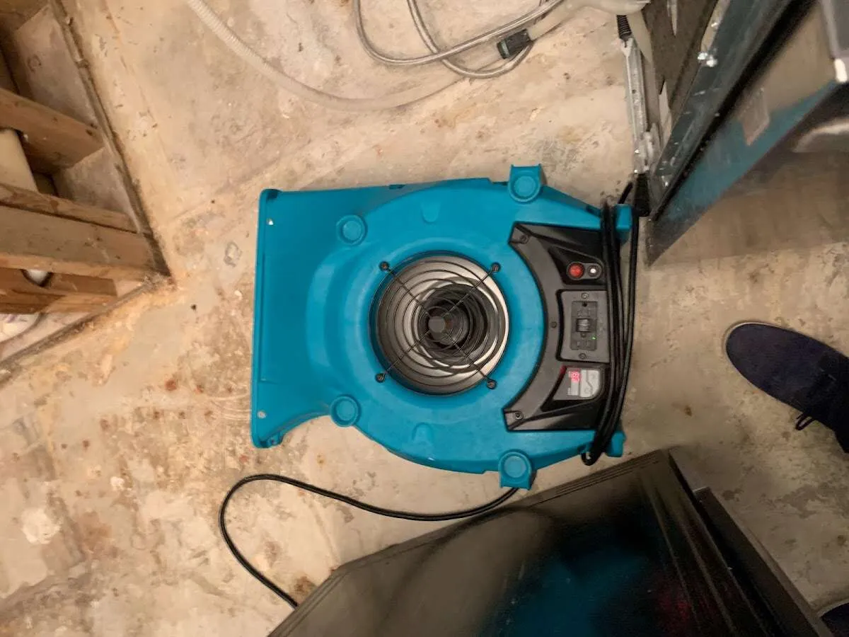 Air mover drying equipment for Mold Remediation & Removal in Prescott